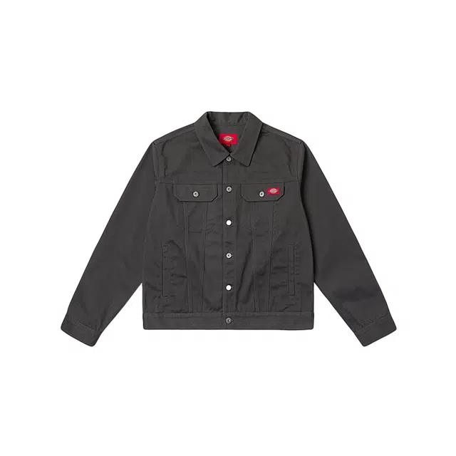 Dickies DK0A889P