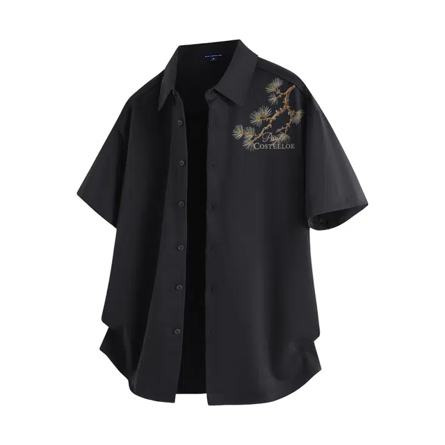 PAUL COSTELLOE logo