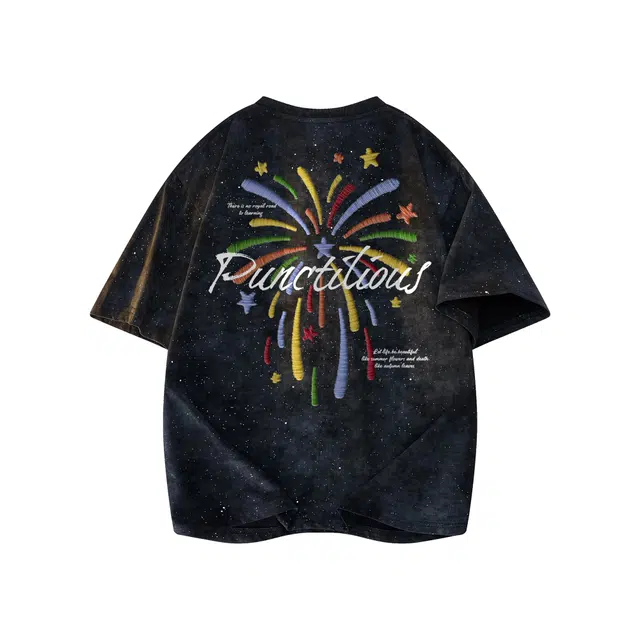 PUNCTILIOUS T