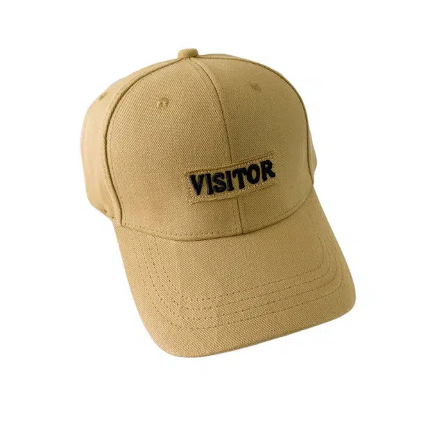 VISI