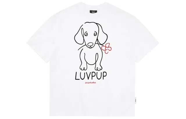 PCLP T