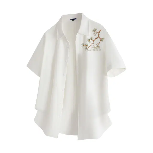PAUL COSTELLOE logo