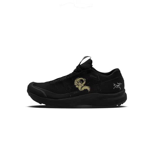 Arcteryx AERIOS FL GTX