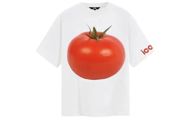 ICONS Lab T