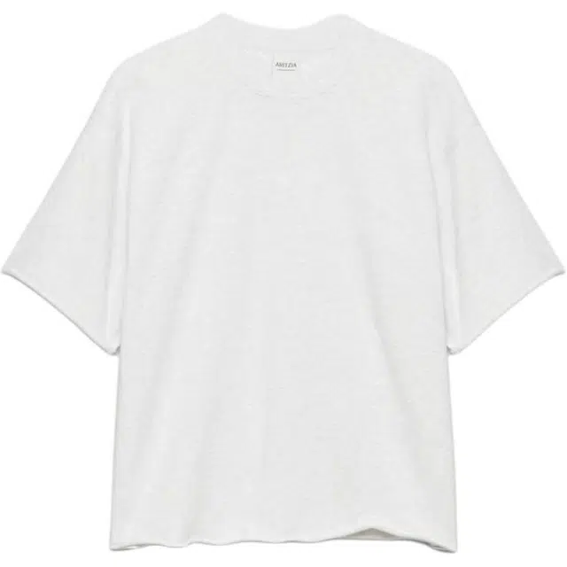 ARITZIA SS25 Terry Sweatfleece Boyfriend Raw-hem T-shirt T