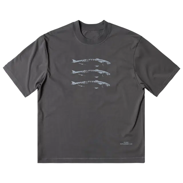 FLOAT T