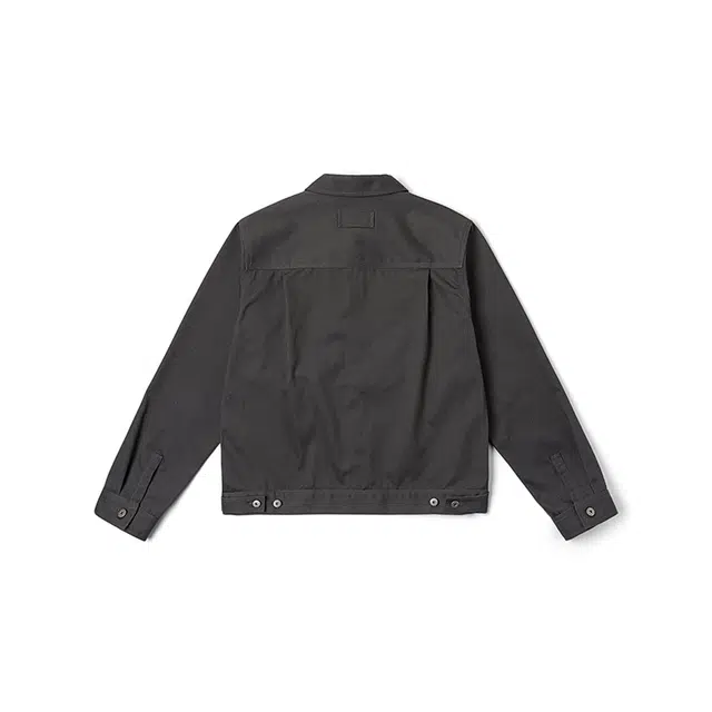 Dickies DK0A889P