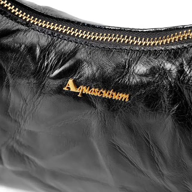 AQUASCUTUM