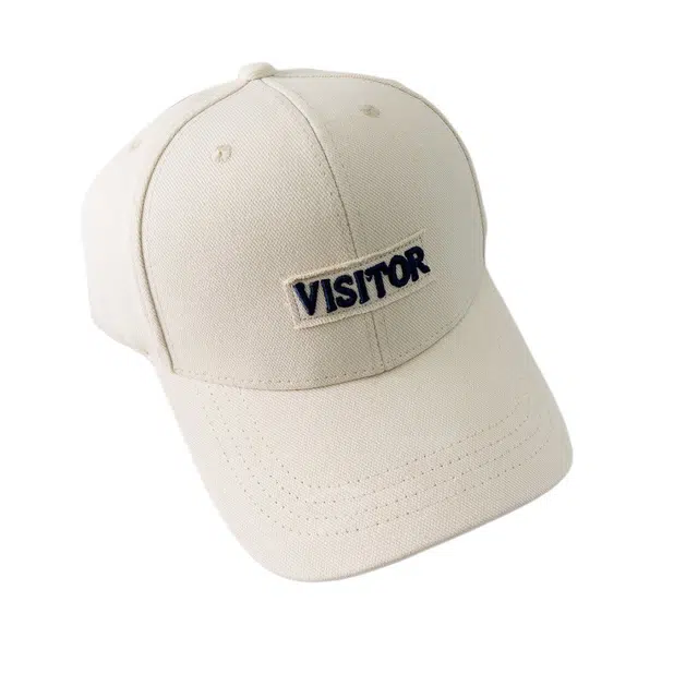 VISI