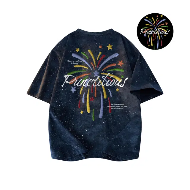 PUNCTILIOUS T