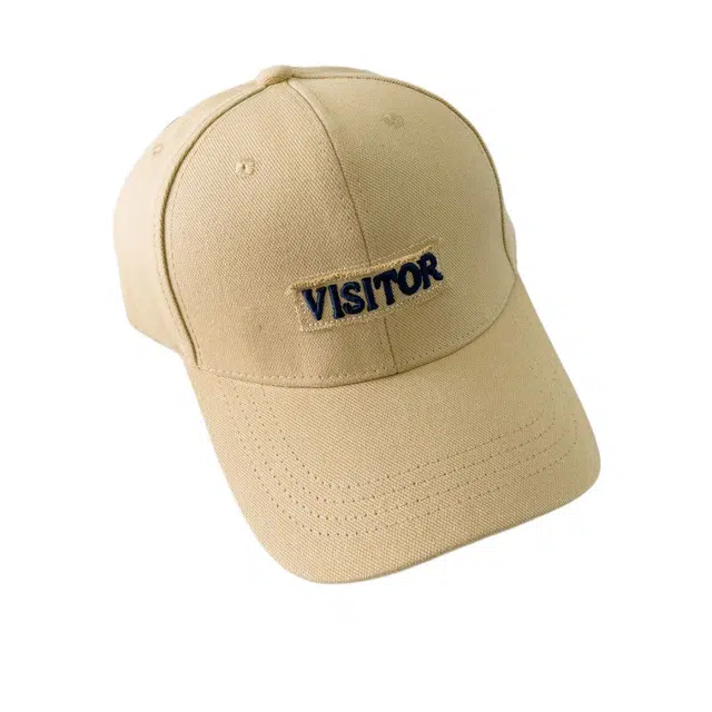 VISI