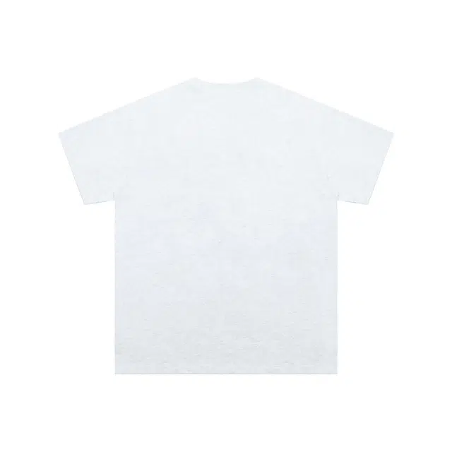PVPVPV T