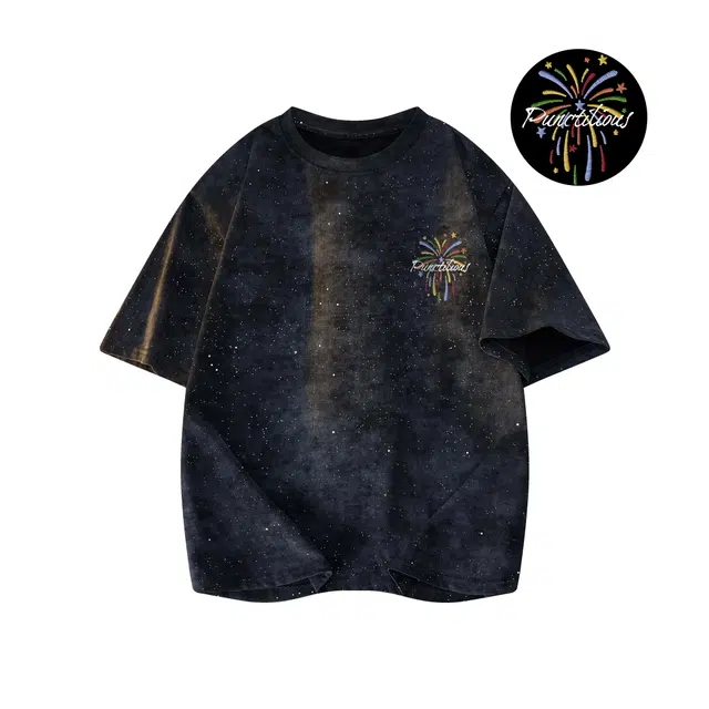 PUNCTILIOUS T