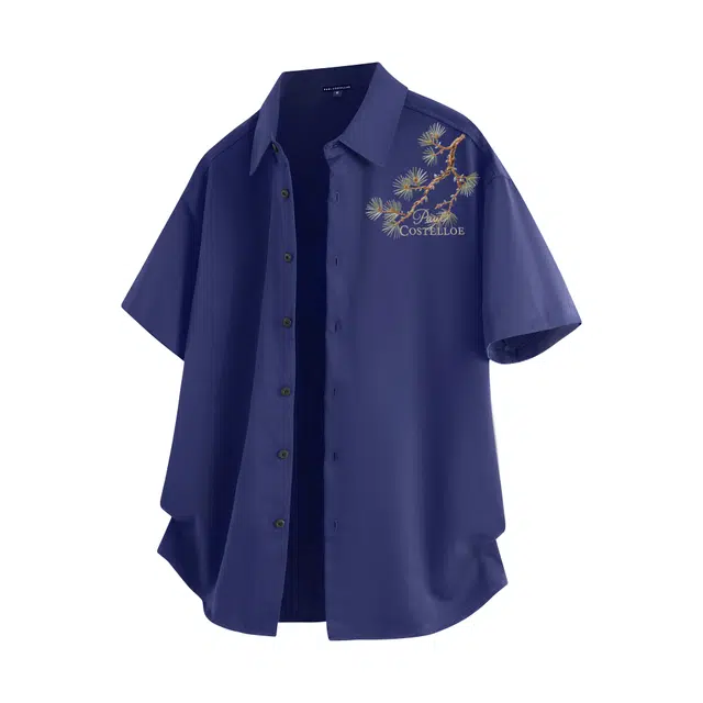 PAUL COSTELLOE logo