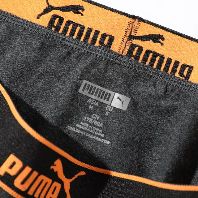 PUMA 3