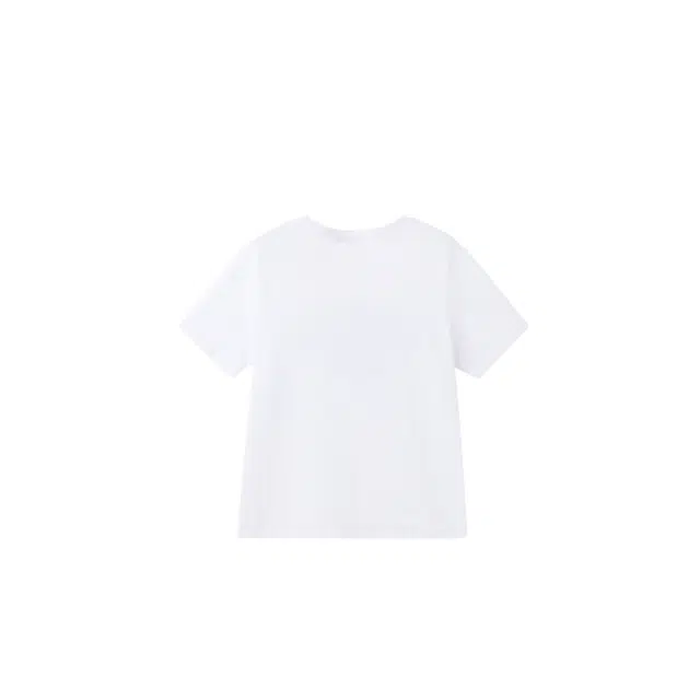 SPAO T