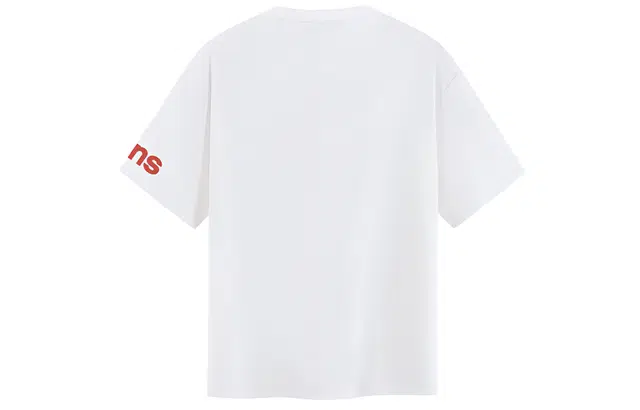 ICONS Lab T