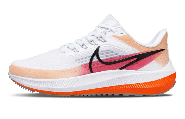 Nike Air Zoom Pegasus 39