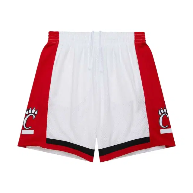 Mitchell Ness Swingman 199192