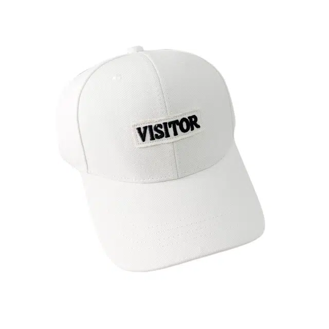 VISI