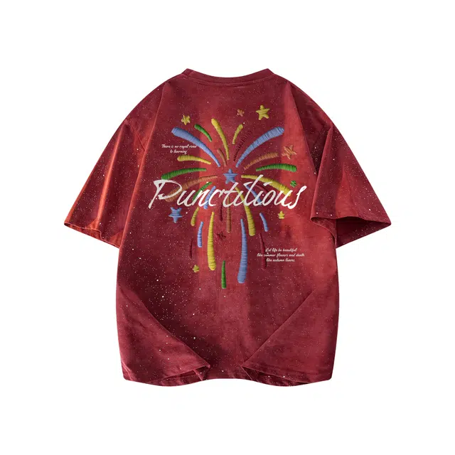 PUNCTILIOUS T