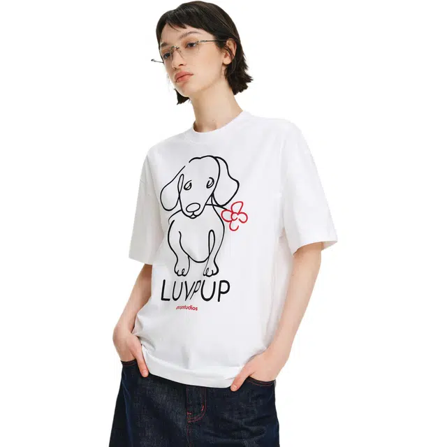PCLP T