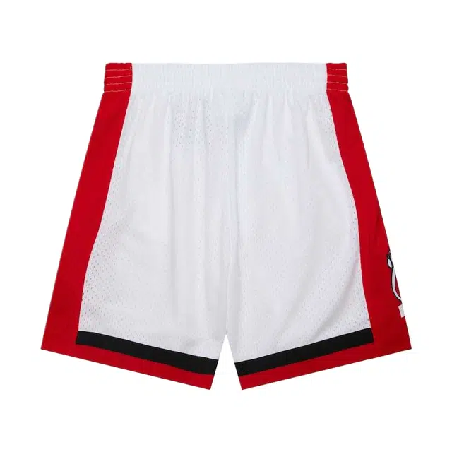 Mitchell Ness Swingman 199192