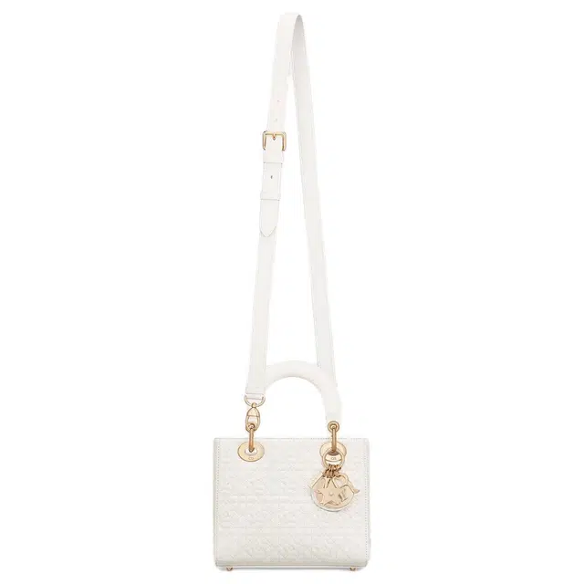 DIOR Lady Dior