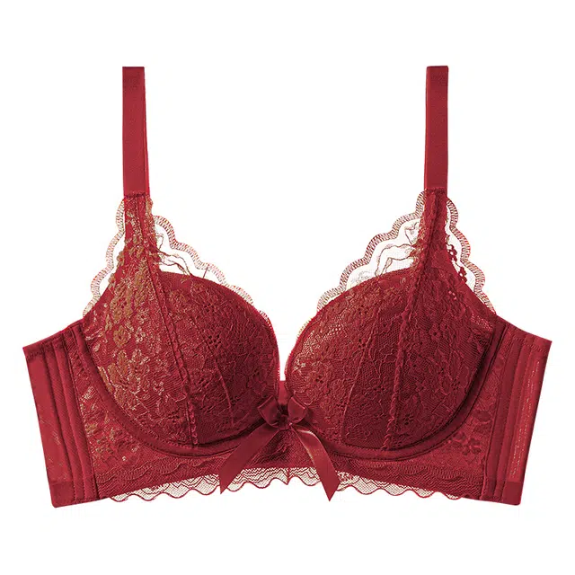 戴维诗 性感蕾丝小胸显大提拉聚拢防下垂文胸 女款