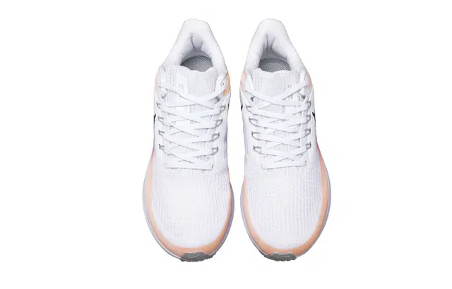 Nike Air Zoom Pegasus 39
