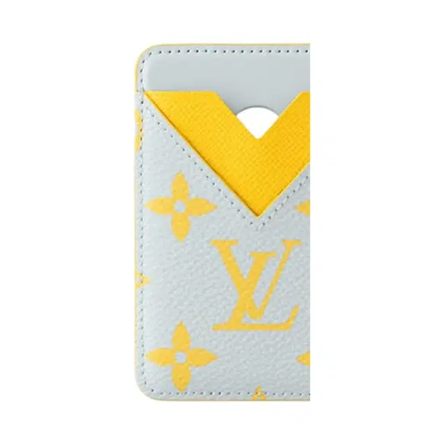 LOUIS VUITTON Magnetic Monogram Glow