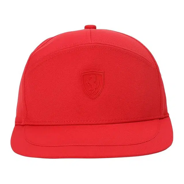 PUMA F1