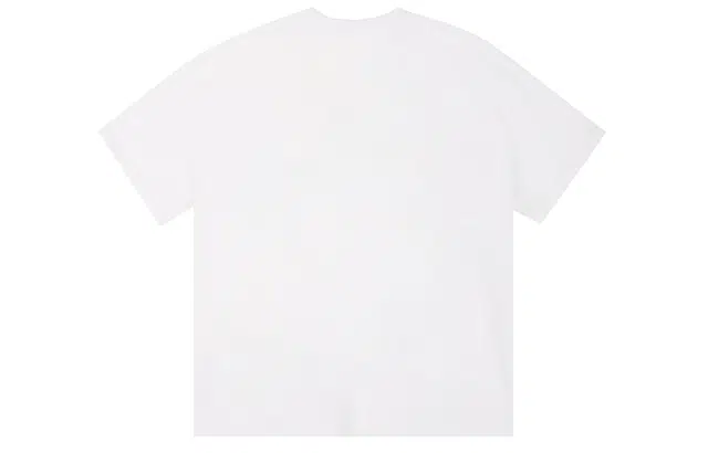 ICONS Lab ICS T