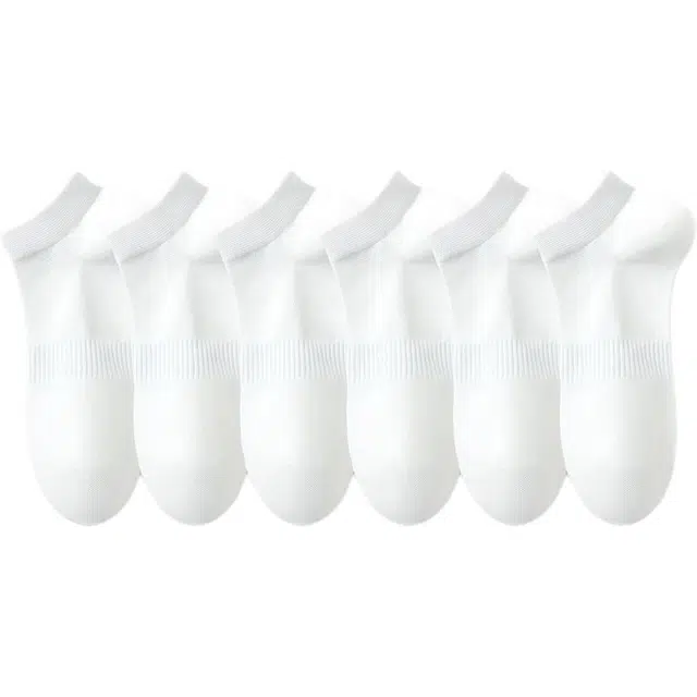 temooues 6