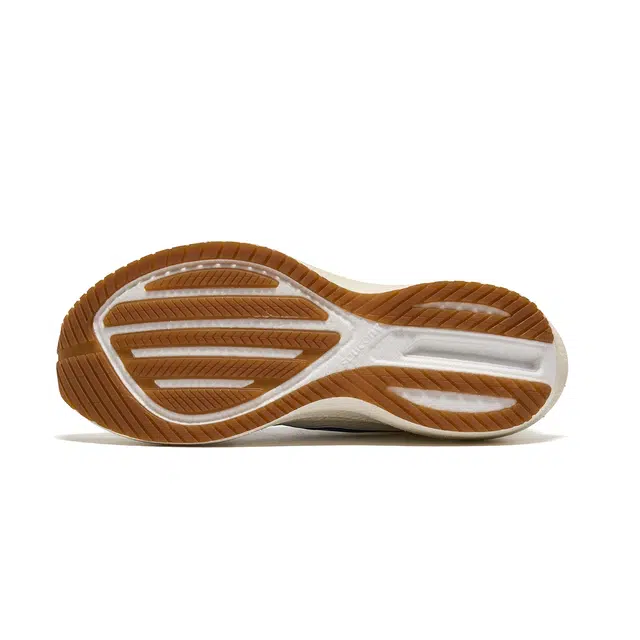 Saucony Triumph 21 SE