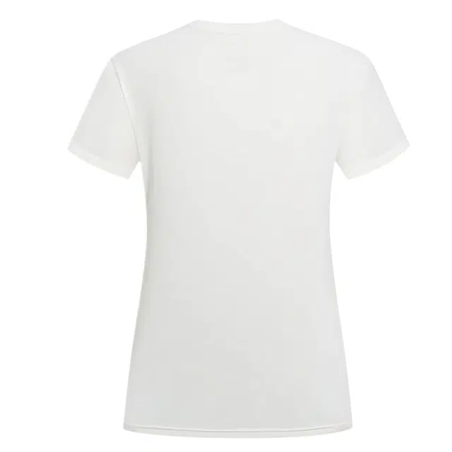 NORTHLAND PROFESSIONAL T