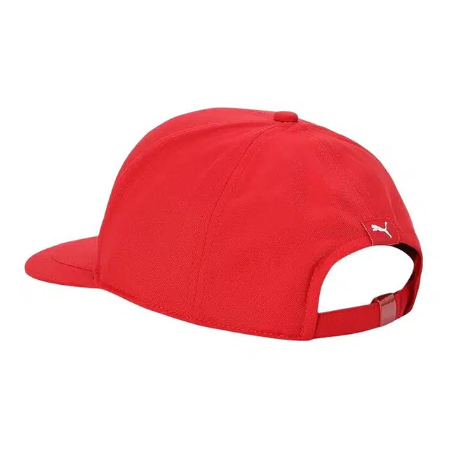 PUMA F1