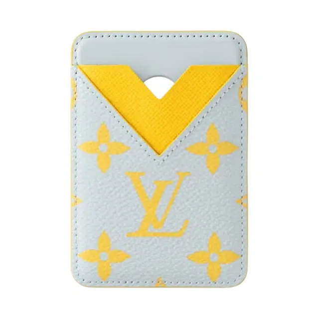LOUIS VUITTON Magnetic Monogram Glow