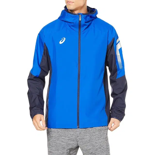 Asics Logo