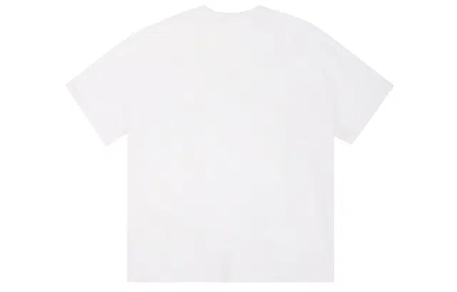 ICONS Lab ICS T