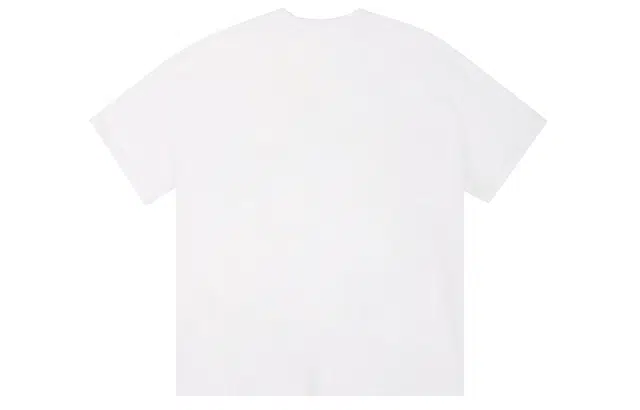 ICONS Lab ICS T