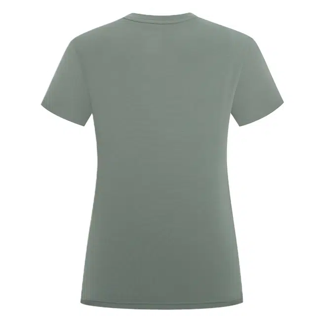 NORTHLAND PROFESSIONAL T