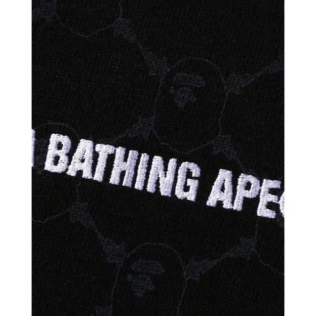BAPE SS25 logoT