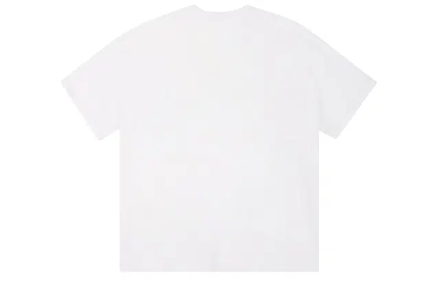 ICONS Lab ICS T