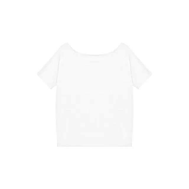 POLAR BEAR T