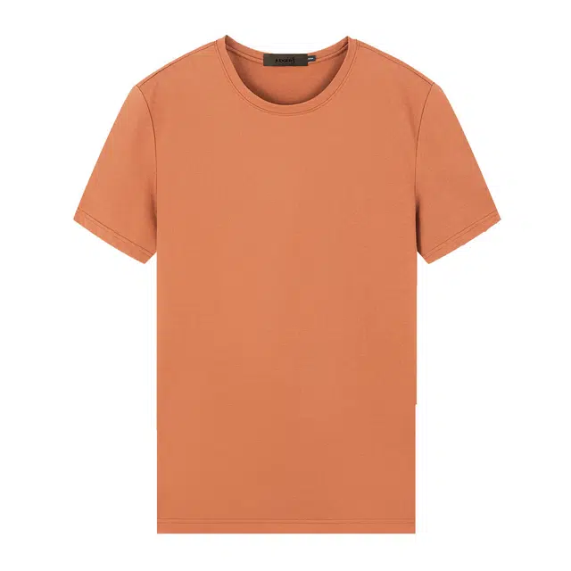 JUDGER T