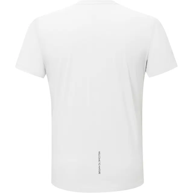 PELLIOT T