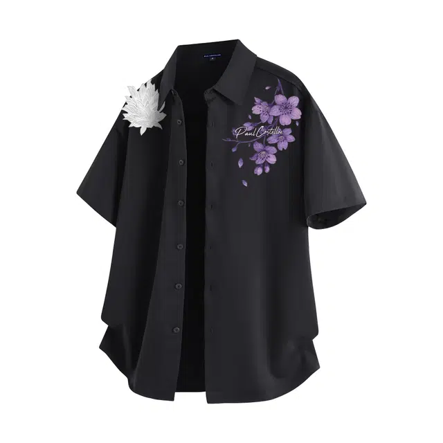 PAUL COSTELLOE 3DT