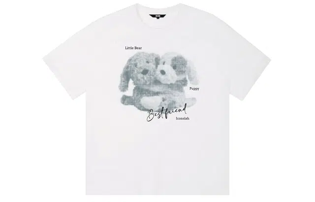 ICONS Lab ICS T