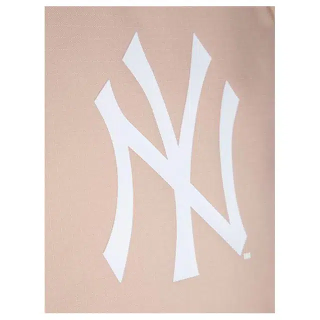 New Era 19L Logo